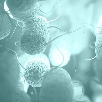 Food- and Waterborne Diseases Antimicrobial Resistance - Reference Laboratory Capacity